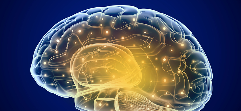 Заїкання може бути викликано «сигналами зупинки» в мозку