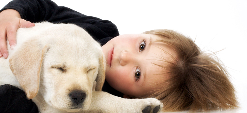 Собаки покращують реакцію дітей, які проходять мовну терапію
